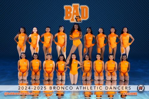 BAD Dance Team